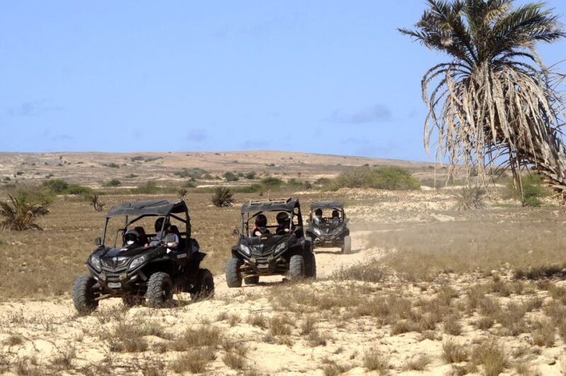Boa Vista Island: Dunes, Desert &Sal Rei 4WD Buggy Adventure - The Itinerary: What to Expect