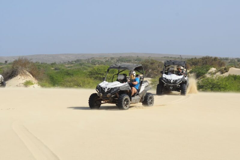 Boa Vista Island: Dunes, Desert &Sal Rei 4WD Buggy Adventure - Authentic Experiences and Traveler Insights