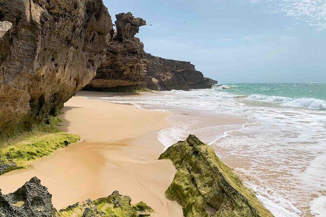 Boa Vista Island: Full Day North to South Discovery - Key Points