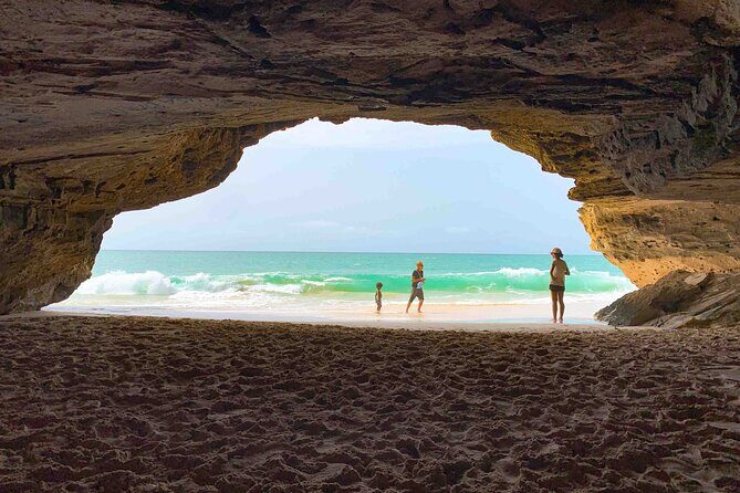 Boa Vista Island: Full Day North to South Discovery - The Itinerary in Detail: What You’ll See and Experience