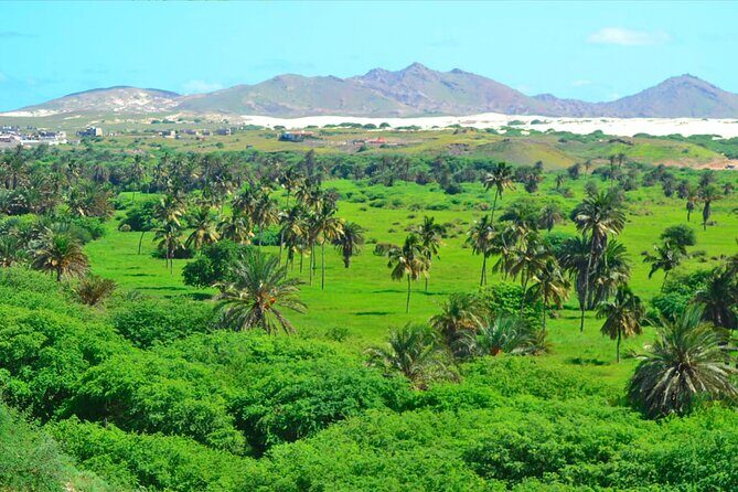 Boa Vista Island: Full-Day Wild Beaches & Viana Desert Experience - Who Will Love This Tour?