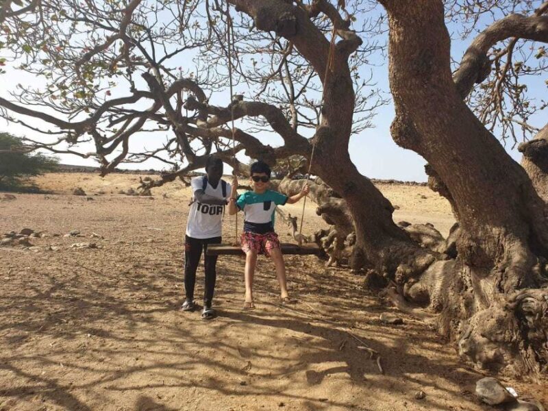 Boa Vista Island: Full-Day Wild Beaches & Viana Desert Tour - Key Points