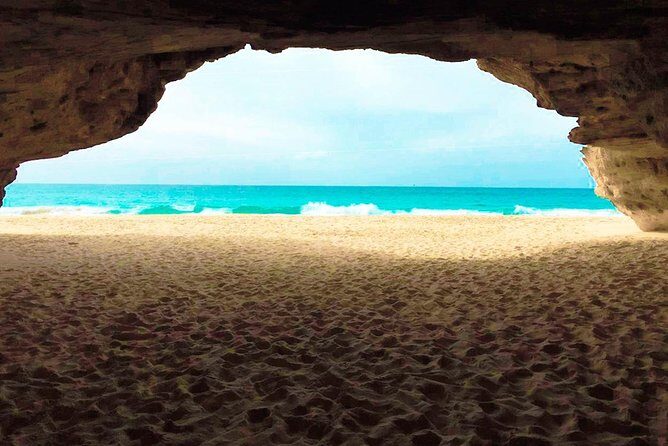Boa Vista Island: Half-day Tour + Santa Monica Beach by 4x4 - An In-Depth Look at the Itinerary