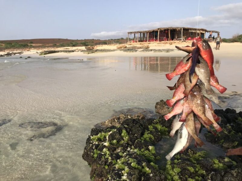 Boa Vista: Lobster Lunch at Santa Monica Beach - The Practicalities: What You Need to Know
