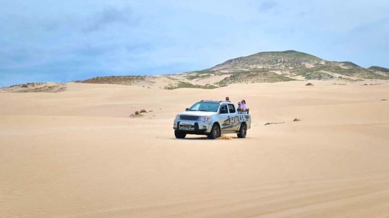 Boa Vista: Shark, Turtles, Cave, Sandboarding & Tasting Tour - Key Points