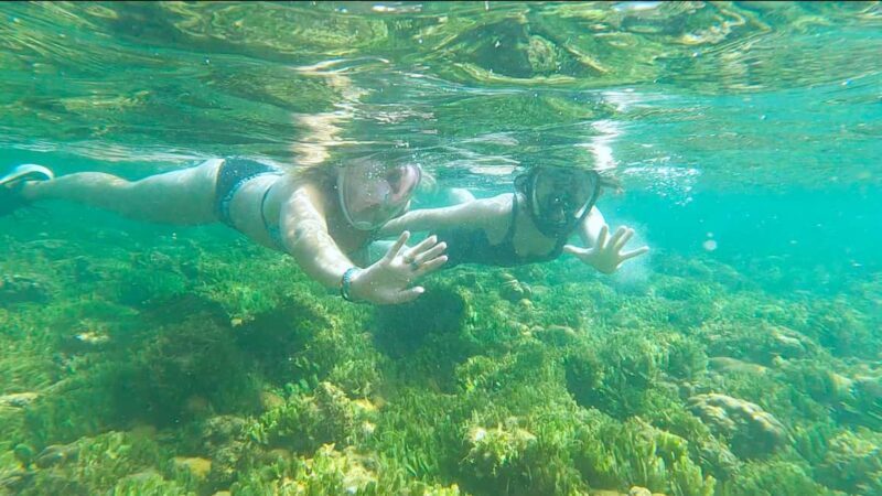 Boa Vista: Snorkeling at Gatas Bay & North East Tour - Key Points