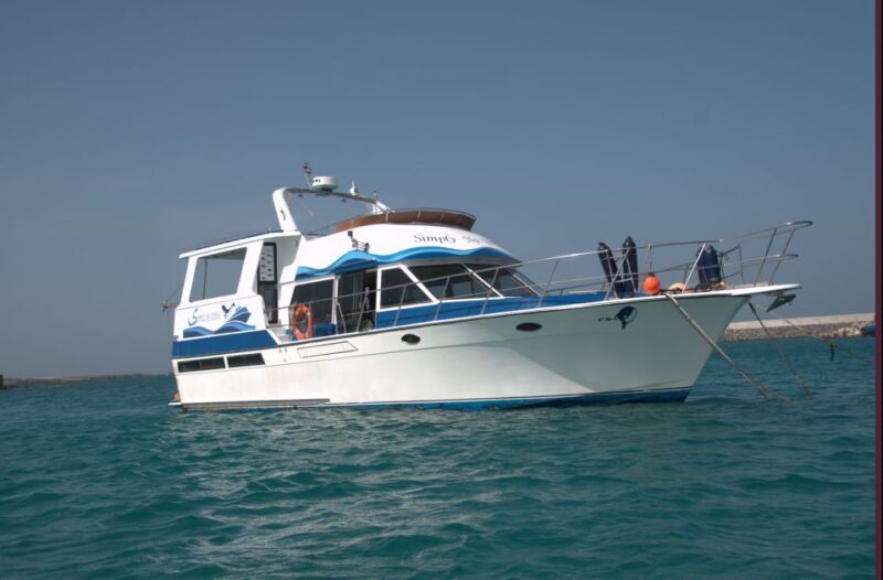 Boa Vista: Whale Watching Trip with Motoryacht - Practical Considerations