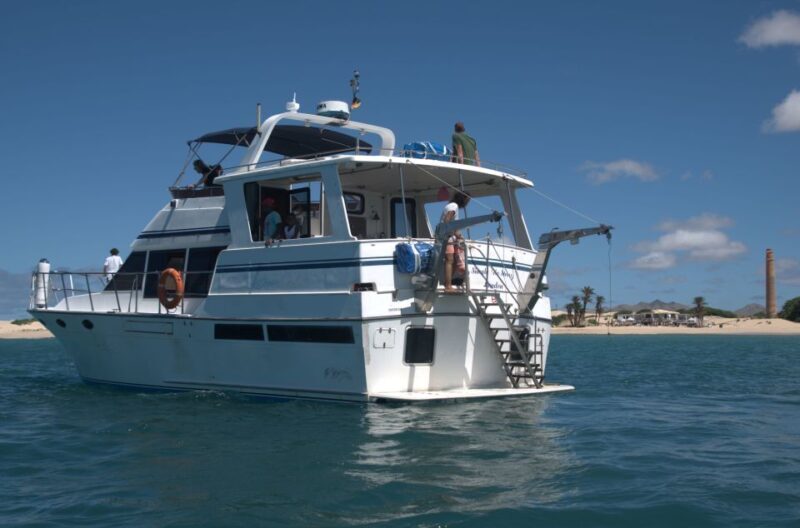 Boa Vista: Whale Watching Trip with Motoryacht - FAQs