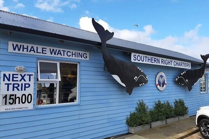 Boat Based Whale Watching from Hermanus - FAQs