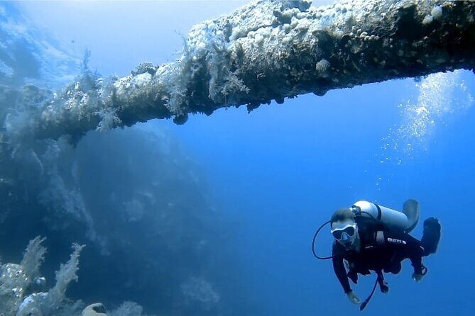 Boat Dive 2 Guided Dives with Lunch Included wreck dive&reef dive - The Dive Experience in Detail