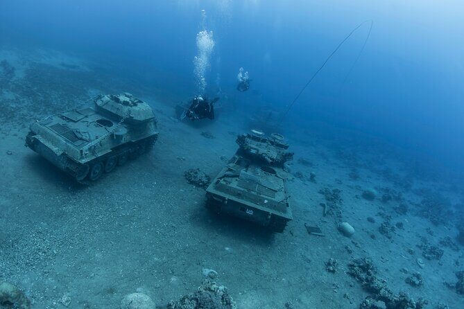 Boat Dive and Snorkeling Experience in Aqaba - Who Should Consider This Tour?