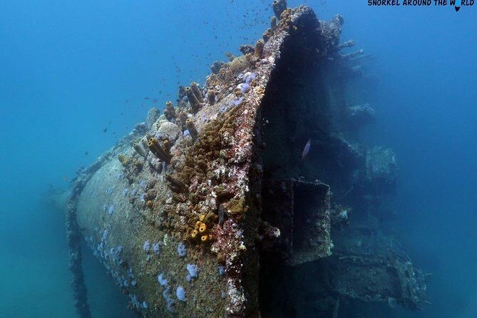 Boat Dive Shipwreck/ Airplanes/ Reef /2 tanks - An Overview of the Experience