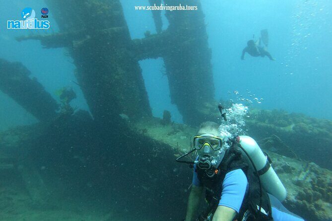 Boat Dive Shipwreck/ Airplanes/ Reef /2 tanks - Authentic Experiences and Customer Feedback