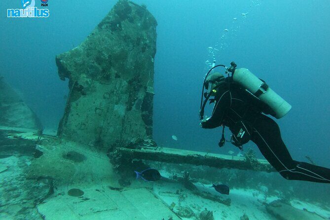 Boat Dive Shipwreck/ Airplanes/ Reef /2 tanks - What You Need to Know Before Booking
