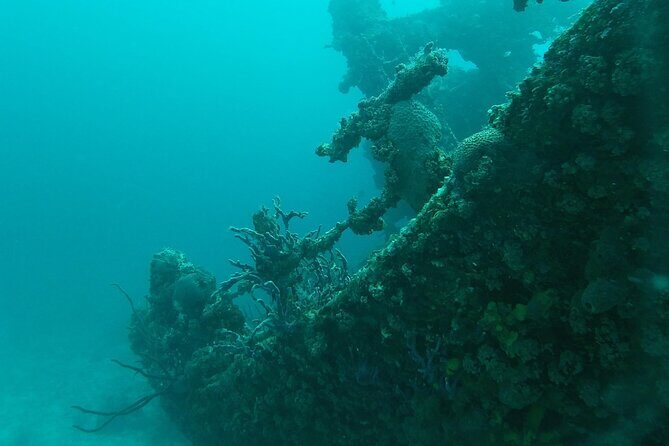 Boat Dive Shipwreck/ Airplanes/ Reef /2 tanks - Who Would Enjoy This Tour?