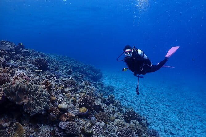 Boat Fundive 2Dives Minna, Sesoko , Motobu Okinawa - Introduction