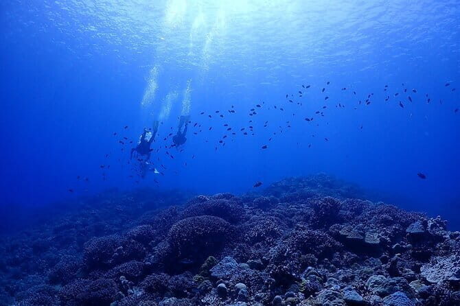 Boat Fundive 2Dives Minna, Sesoko , Motobu Okinawa - What Could Be Improved or Considered