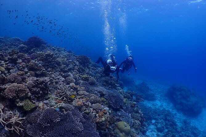 Boat Fundive 2Dives Minna, Sesoko , Motobu Okinawa - FAQ