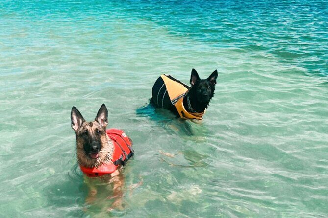Boat Rentals to Shell Key, Treasure Island and St. Pete Beach - Final Thoughts