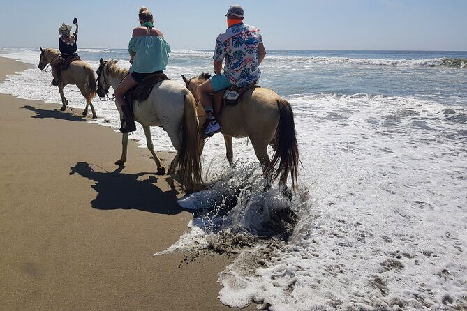 Boat Ride-Gentle Beach Beach Horseback Ride+Lunch-Crocs-Turtles - Detailed Breakdown of the Itinerary