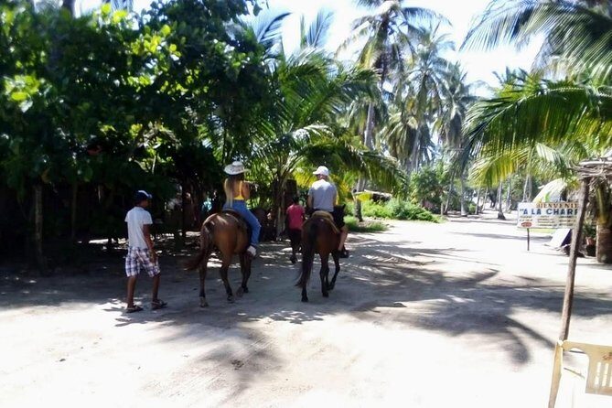 Boat Ride-Gentle Beach Beach Horseback Ride+Lunch-Crocs-Turtles - FAQ