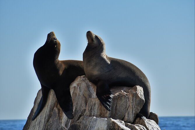 Boat ride to the Arch and Snorkel - What to Expect During Your Tour