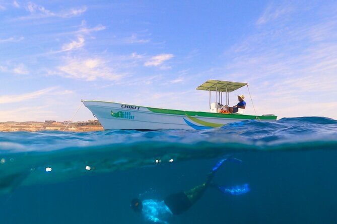 Boat ride to the Arch and Snorkel - The Experience: Pros, Cons, and Practical Tips