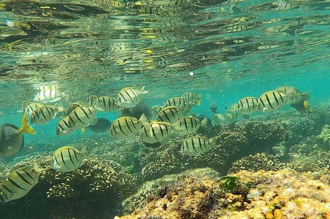 Boat ride to the Arch and Snorkel - The Sum Up