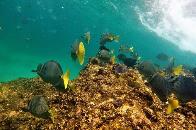 Boat ride to the Arch and Snorkel - FAQ