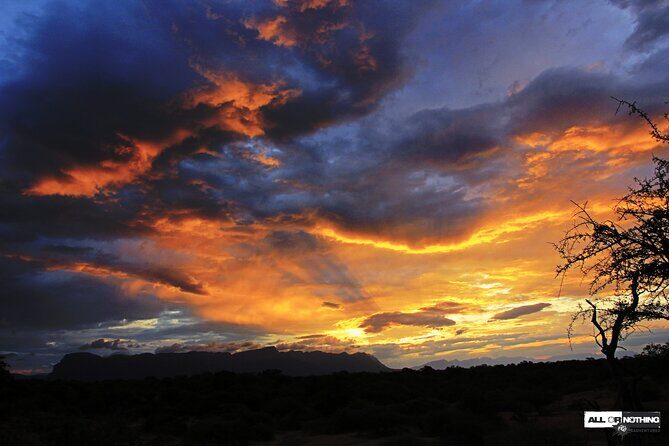 Boat & Safari Combo - Blyde Dam Boat Cruise & Private Safari - Key Points