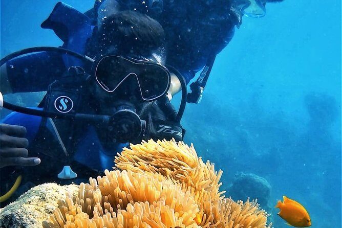 Boat Scuba Diving at Neil Island - Exploring Neil Island Boat Scuba Diving: An In-Depth Review