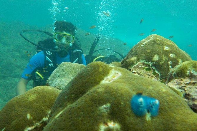 Boat Scuba Diving at Neil Island - Key Points