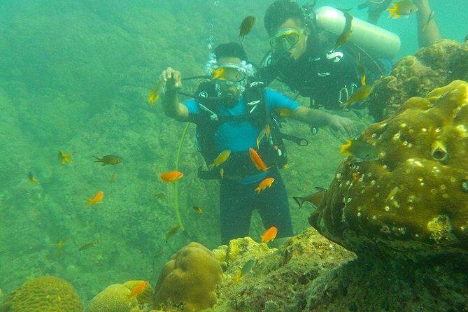 Boat Scuba Diving at Neil Island - Logistics and Practicalities
