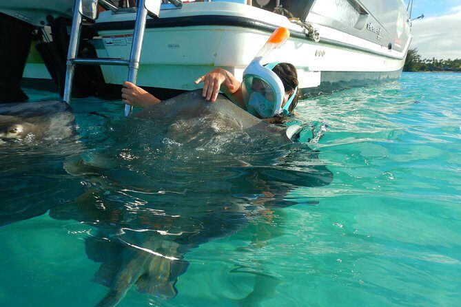 Boat tour 1/2 day Excursion in the lagoon of Moorea - Introduction: Discover Moorea’s Lagoon with a 1/2 Day Boat Tour