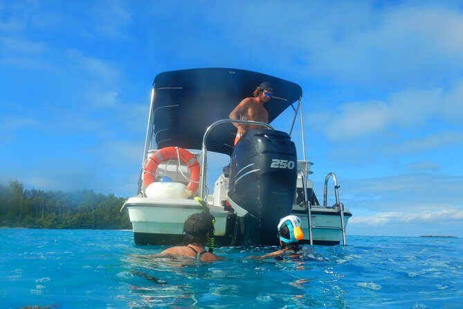 Boat tour 1/2 day Excursion in the lagoon of Moorea - What’s Included and What to Consider