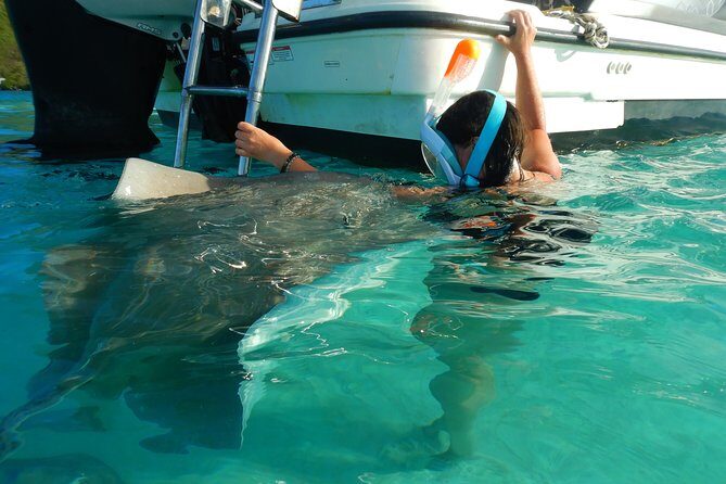 Boat tour 1/2 day Excursion in the lagoon of Moorea - Why This Tour Is a Great Choice