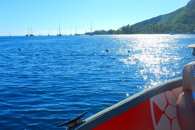 Boat tour 1/2 day Excursion in the lagoon of Moorea - The Sum Up: Who Will Love This Experience?
