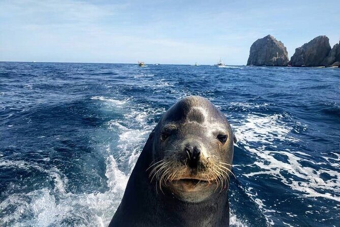 Boat Tour and Snorkel at Pelican Rock - Real Traveler Insights