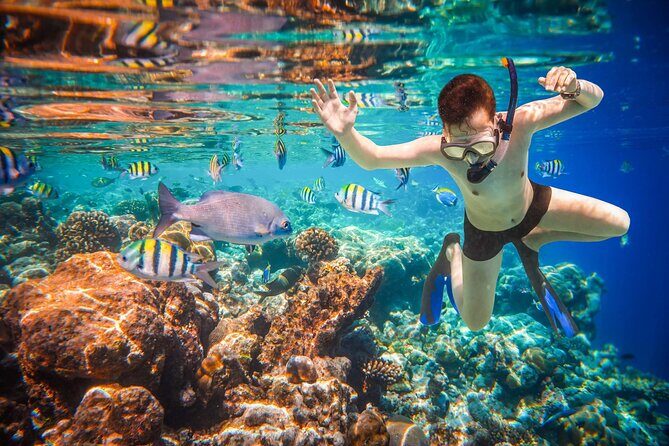 Boat Tour and Snorkel at Pelican Rock - FAQ