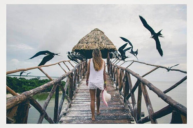 Boat Tour of Three Islands in Holbox with Transportation - Key Points