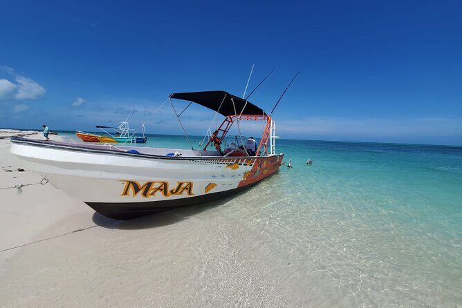 Boat Tour of Three Islands in Holbox with Transportation - Final Words on the Experience