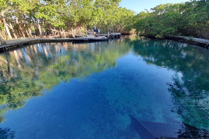 Boat Tour of Three Islands in Holbox with Transportation - Who Should Consider This Tour?