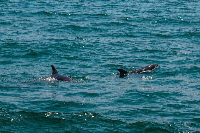 Boat Tour Snorkeling Tour with Guide, Drinks and Fruit - What to Expect on the Tour