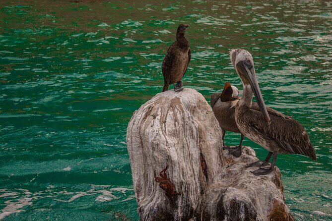 Boat Tour Snorkeling Tour with Guide, Drinks and Fruit - Authenticity and Authentic Experiences