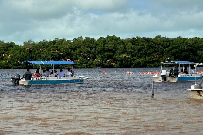 Boat tour through the mangroves of Celestún and Playa from Merida - Practical Tips