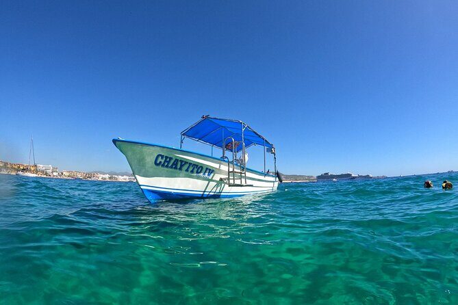 Boat Tour to Cabo San Lucas Arch and Rock Formations - Authentic Traveler Perspectives