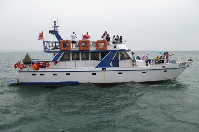 Boat Tours in Agadir lunch including ( sea food ) - Key Points