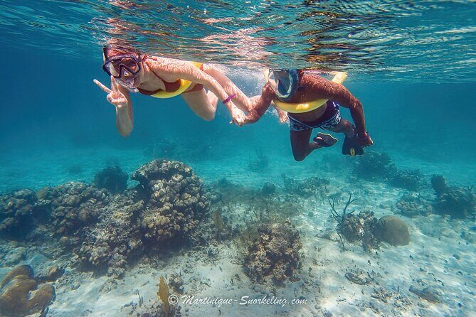 Boat Trip for Snorkeling Discovery of Corals - The Highlights: Why Travelers Love this Snorkeling Tour