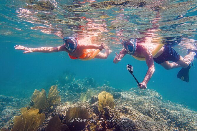 Boat Trip for Snorkeling Discovery of Corals - The Sum Up