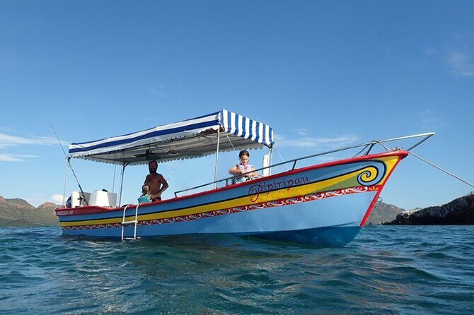 Boating along the coastline of San Carlos with a Marine Biologist - Key Points